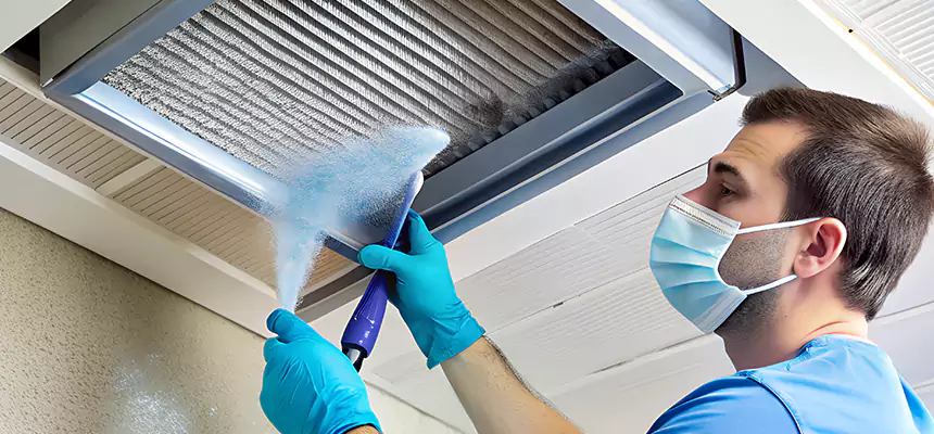 Proactive Dryer Vent & Auxiliary Duct Pollen Cleanup in Wisconsin Rapids, WI
