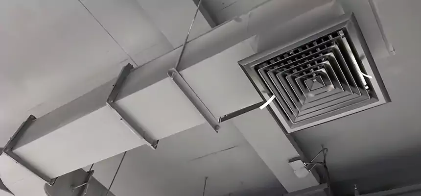 Restorative Allergy Relief Vent Cleaning – Coil, Blower & Housing Detail in Wisconsin Rapids