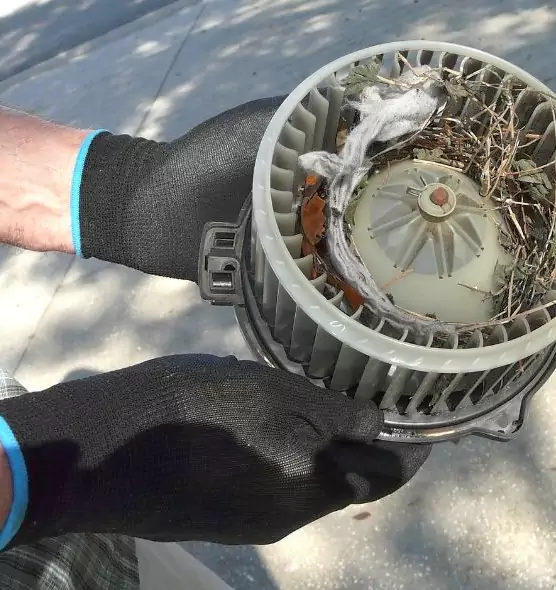 About Air Duct Mice Removal in Wisconsin Rapids, WI