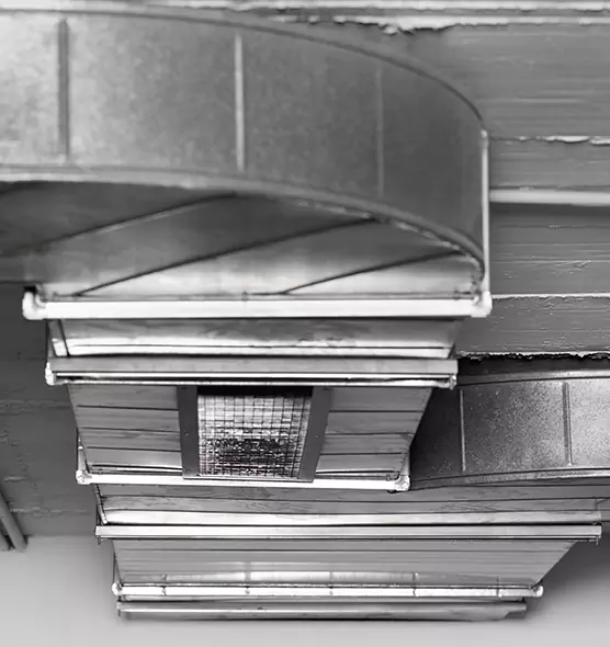 Professional Air Duct Pest Removal in Wisconsin Rapids, WI