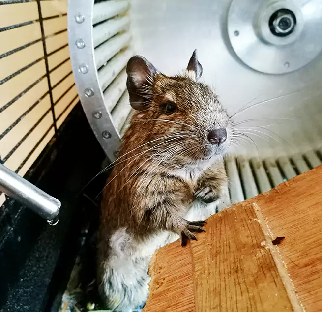 Why Homeowners & Businesses Trust Us Wisconsin Rapids, WI?