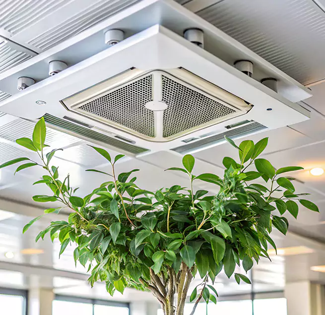 Why Homeowners & Businesses Trust Us in Wisconsin Rapids, WI