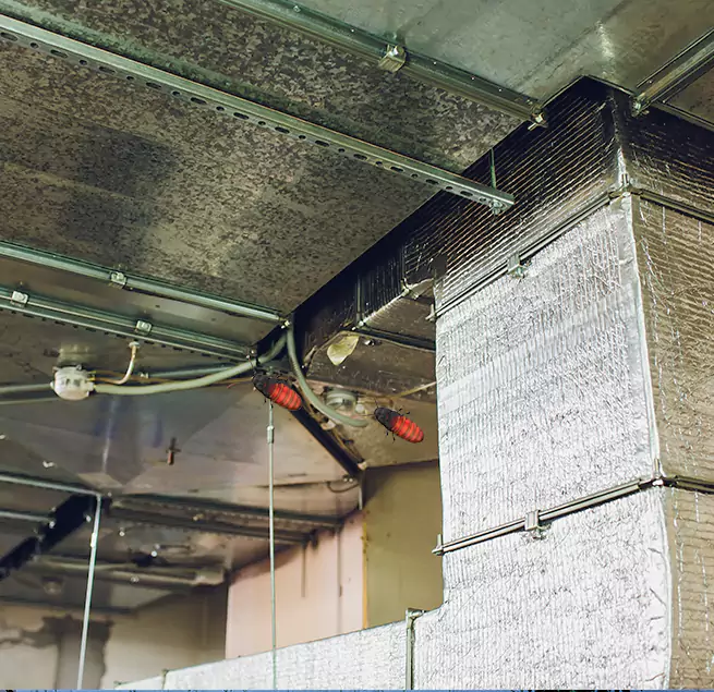 Why Homeowners & Businesses Trust Us Wisconsin Rapids, WI?